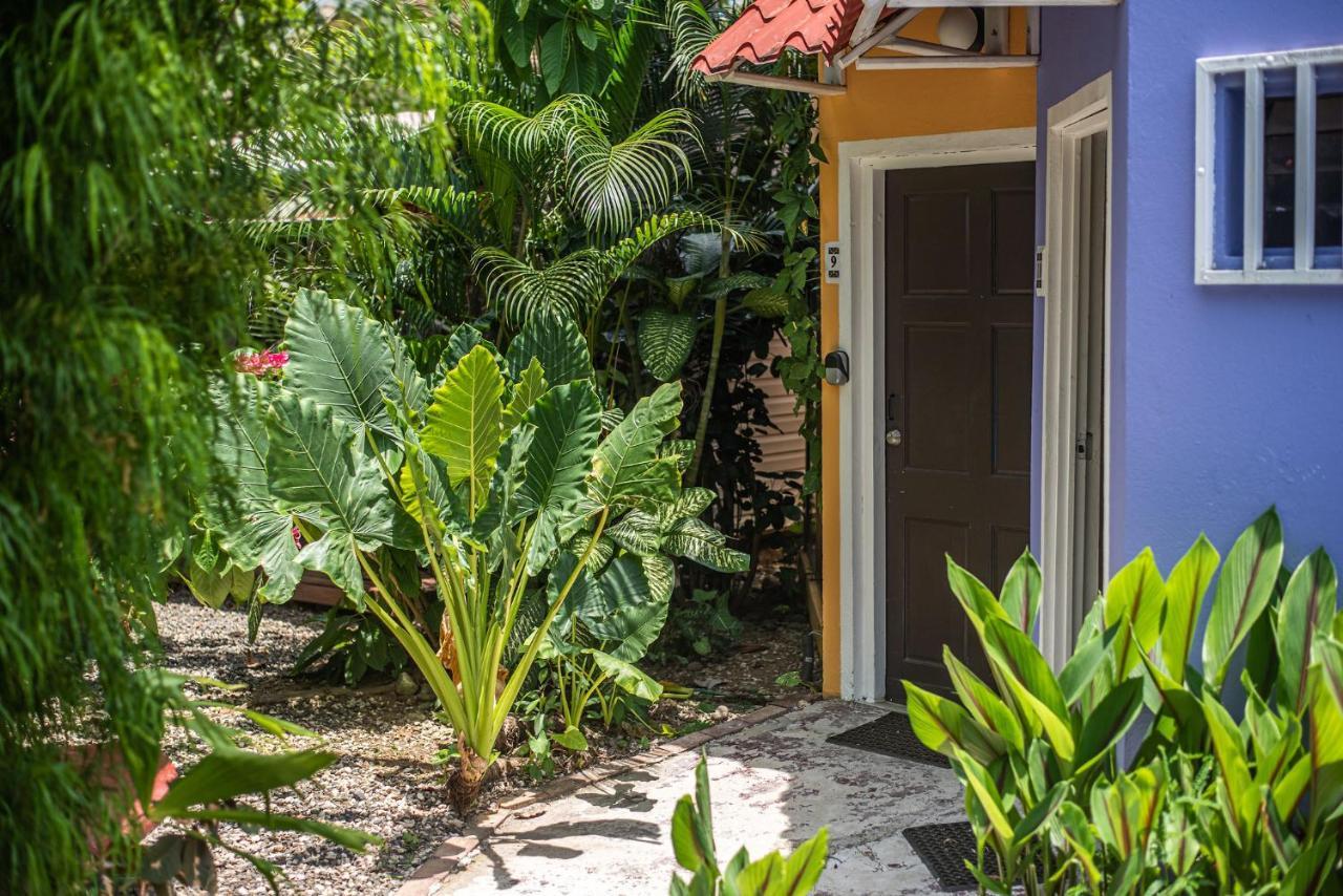 Jaco Lodge Quiet Place (Adults Only) Екстер'єр фото